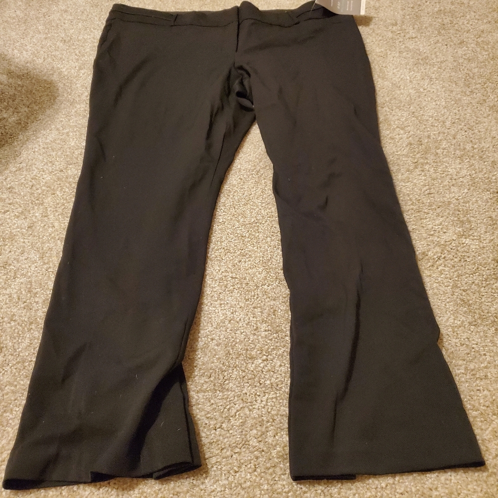 NWT maurices dress pants